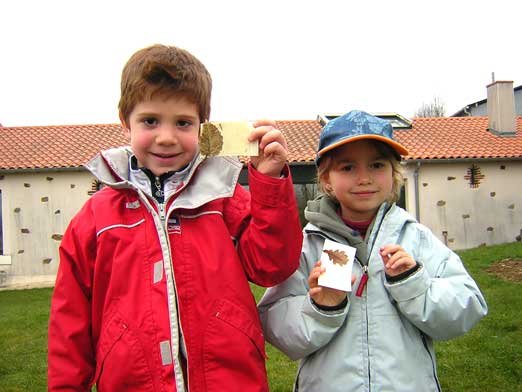 Collecte de feuille dans le petit bois