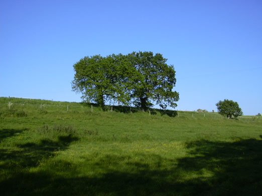 Balade dans la vallée du Nay