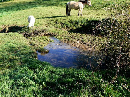 L'eau indispensable pour vivre