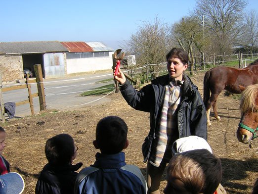 Découvrir le monde de l'équitation