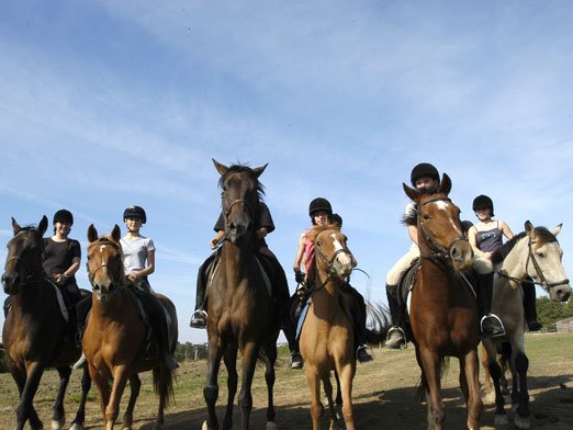 Le Pin Centre Equestre 13