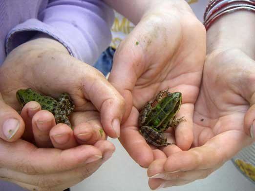 Parfois la pêche est très fructueuse