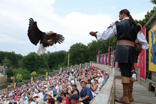 Aigle Puy Du Fou