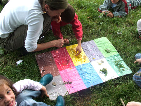 apprendre la diversité floristique du sous-bois