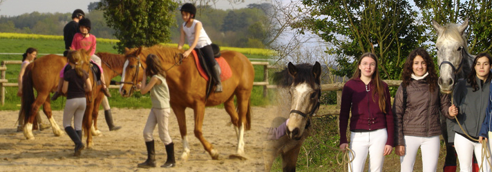 stage équitation